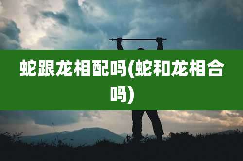 蛇跟龙相配吗(蛇和龙相合吗)
