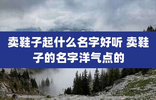 卖鞋子起什么名字好听 卖鞋子的名字洋气点的