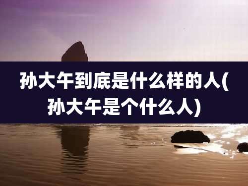 孙大午到底是什么样的人(孙大午是个什么人)