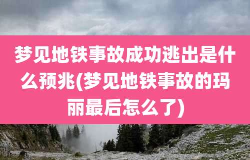 梦见地铁事故成功逃出是什么预兆(梦见地铁事故的玛丽最后怎么了)