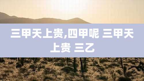 三甲天上贵,四甲呢 三甲天上贵 三乙