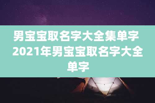 男宝宝取名字大全集单字 2021年男宝宝取名字大全单字