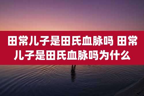 田常儿子是田氏血脉吗 田常儿子是田氏血脉吗为什么