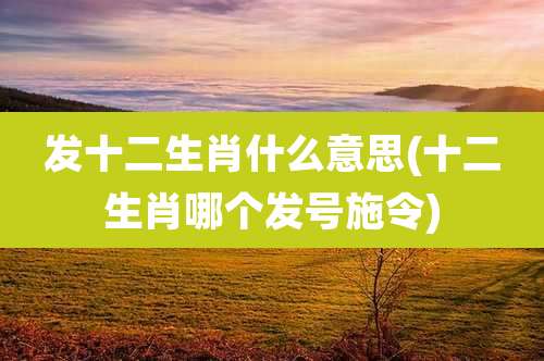 发十二生肖什么意思(十二生肖哪个发号施令)