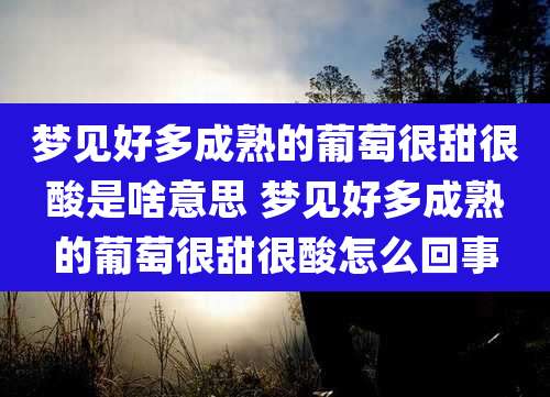 梦见好多成熟的葡萄很甜很酸是啥意思 梦见好多成熟的葡萄很甜很酸怎么回事