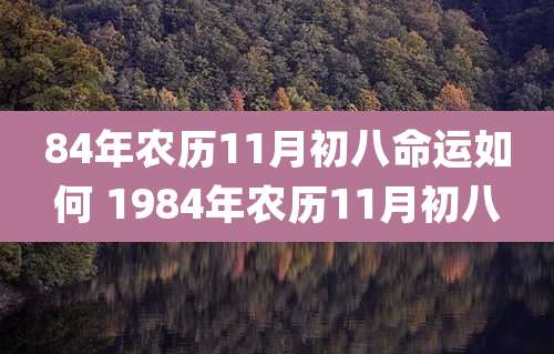 84年农历11月初八命运如何 1984年农历11月初八