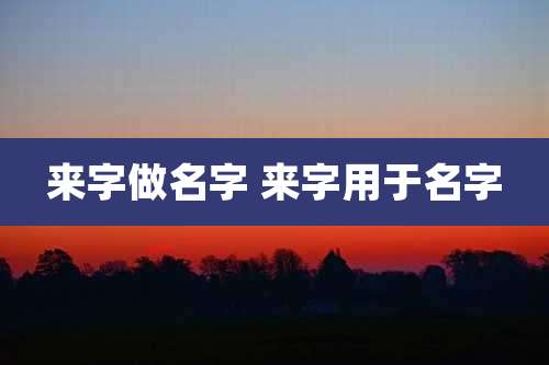 来字做名字 来字用于名字