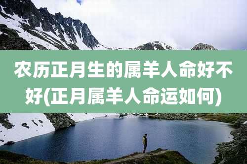 农历正月生的属羊人命好不好(正月属羊人命运如何)