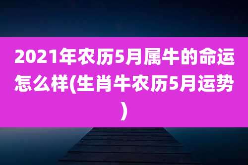 2021年农历5月属牛的命运怎么样(生肖牛农历5月运势)