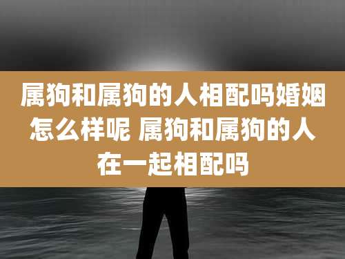 属狗和属狗的人相配吗婚姻怎么样呢 属狗和属狗的人在一起相配吗