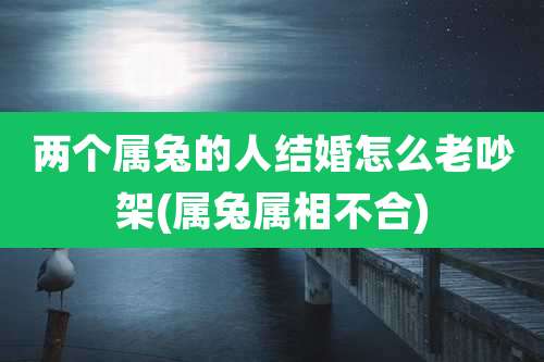 两个属兔的人结婚怎么老吵架(属兔属相不合)