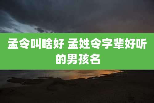 孟令叫啥好 孟姓令字辈好听的男孩名