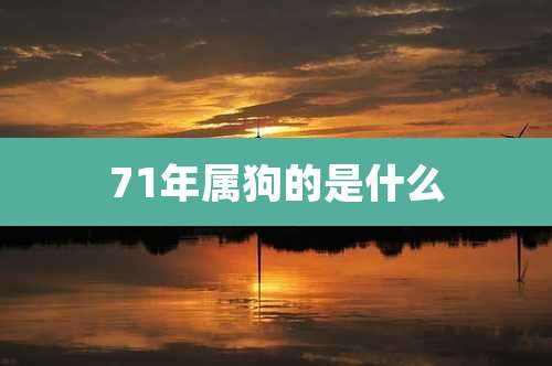 71年属狗的是什么