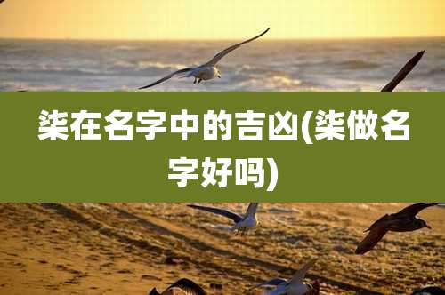 柒在名字中的吉凶(柒做名字好吗)