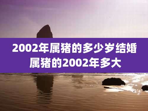 2002年属猪的多少岁结婚 属猪的2002年多大