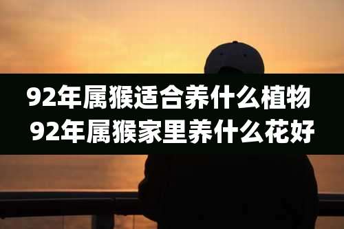 92年属猴适合养什么植物 92年属猴家里养什么花好