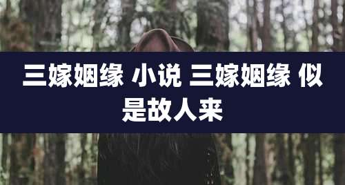 三嫁姻缘 小说 三嫁姻缘 似是故人来