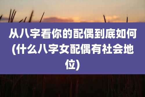 从八字看你的配偶到底如何(什么八字女配偶有社会地位)
