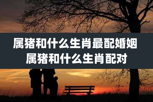 属猪和什么生肖最配婚姻 属猪和什么生肖配对