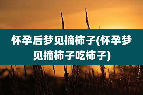 怀孕后梦见摘柿子(怀孕梦见摘柿子吃柿子)