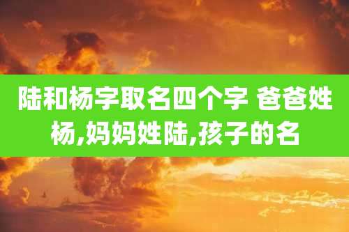 陆和杨字取名四个字 爸爸姓杨,妈妈姓陆,孩子的名