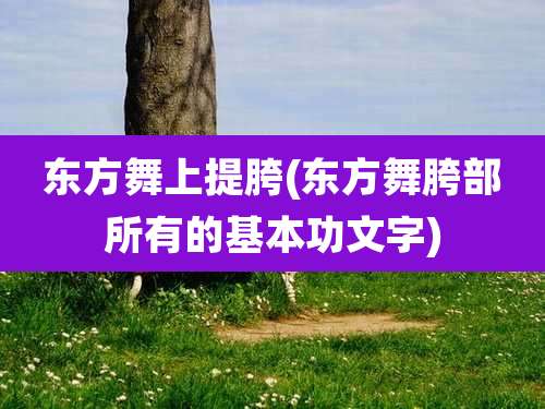 东方舞上提胯(东方舞胯部所有的基本功文字)