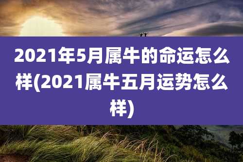 2021年5月属牛的命运怎么样(2021属牛五月运势怎么样)