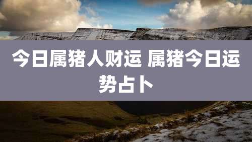 今日属猪人财运 属猪今日运势占卜