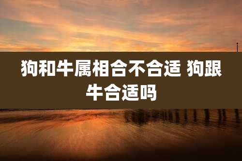狗和牛属相合不合适 狗跟牛合适吗