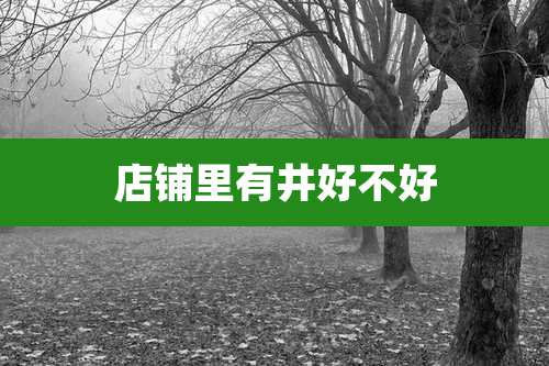 店铺里有井好不好