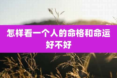 怎样看一个人的命格和命运好不好
