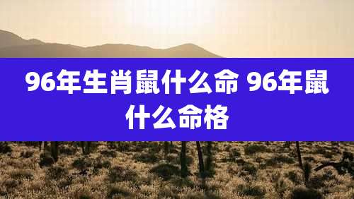 96年生肖鼠什么命 96年鼠什么命格