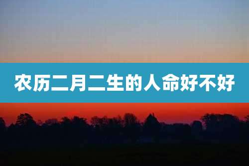 农历二月二生的人命好不好