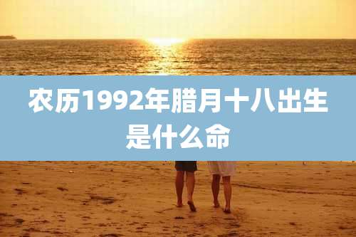 农历1992年腊月十八出生是什么命