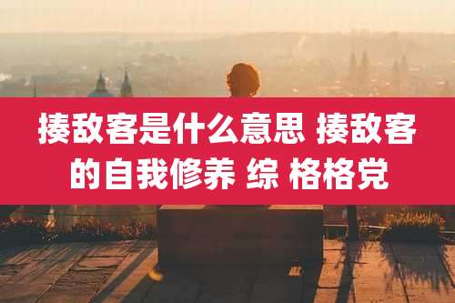 揍敌客是什么意思 揍敌客的自我修养 综 格格党