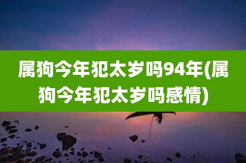 属狗今年犯太岁吗94年(属狗今年犯太岁吗感情)