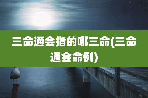 三命通会指的哪三命(三命通会命例)