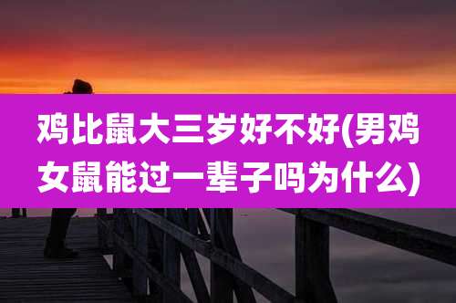 鸡比鼠大三岁好不好(男鸡女鼠能过一辈子吗为什么)