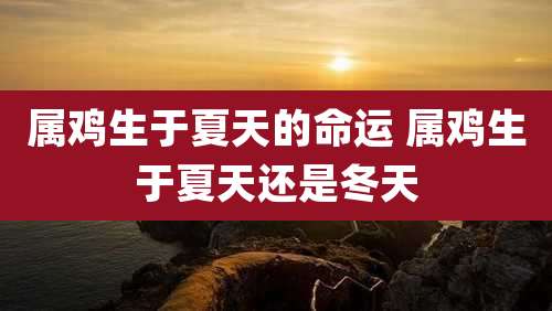 属鸡生于夏天的命运 属鸡生于夏天还是冬天