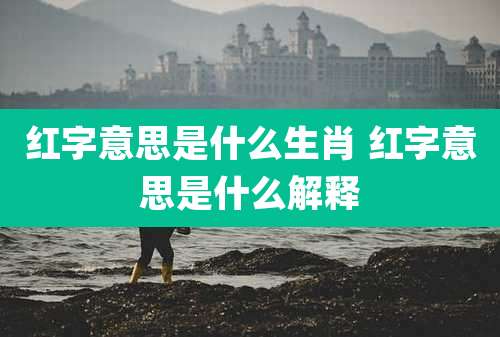 红字意思是什么生肖 红字意思是什么解释