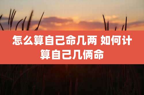 怎么算自己命几两 如何计算自己几俩命