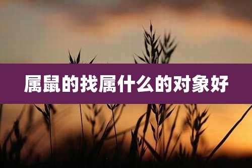 属鼠的找属什么的对象好