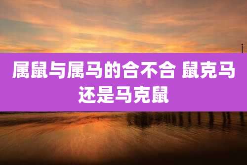 属鼠与属马的合不合 鼠克马还是马克鼠