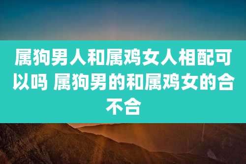属狗男人和属鸡女人相配可以吗 属狗男的和属鸡女的合不合