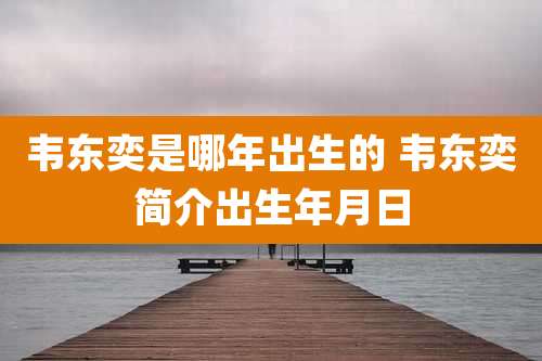 韦东奕是哪年出生的 韦东奕简介出生年月日