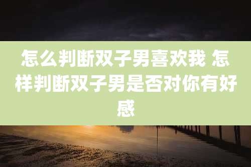 怎么判断双子男喜欢我 怎样判断双子男是否对你有好感