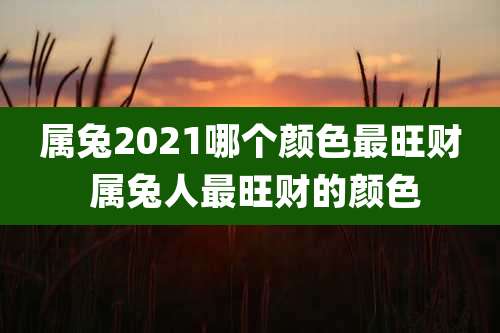 属兔2021哪个颜色最旺财 属兔人最旺财的颜色