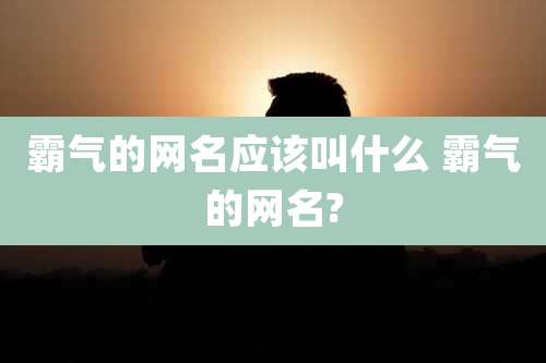 霸气的网名应该叫什么 霸气的网名?