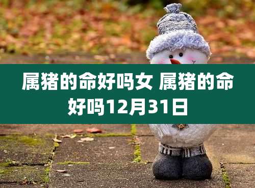 属猪的命好吗女 属猪的命好吗12月31日