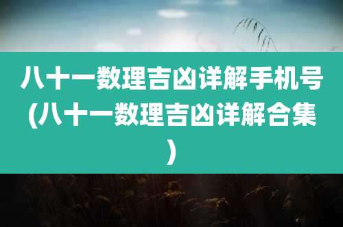 八十一数理吉凶详解手机号(八十一数理吉凶详解合集)